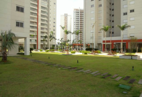 Image 4 - 1006891